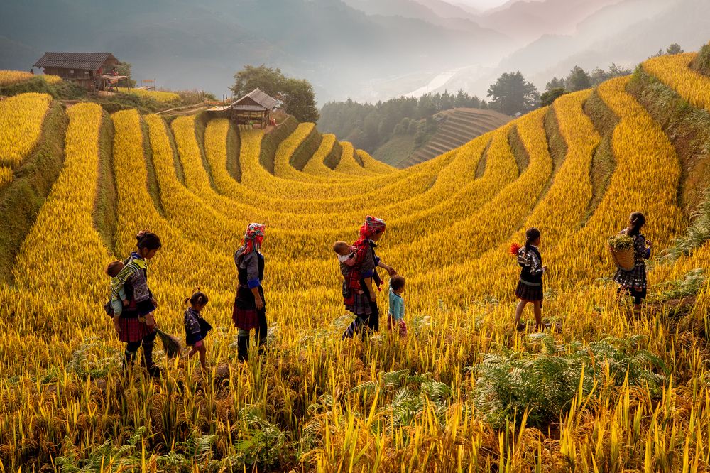 Photograph by Nguyen Thi Chieu Xuan