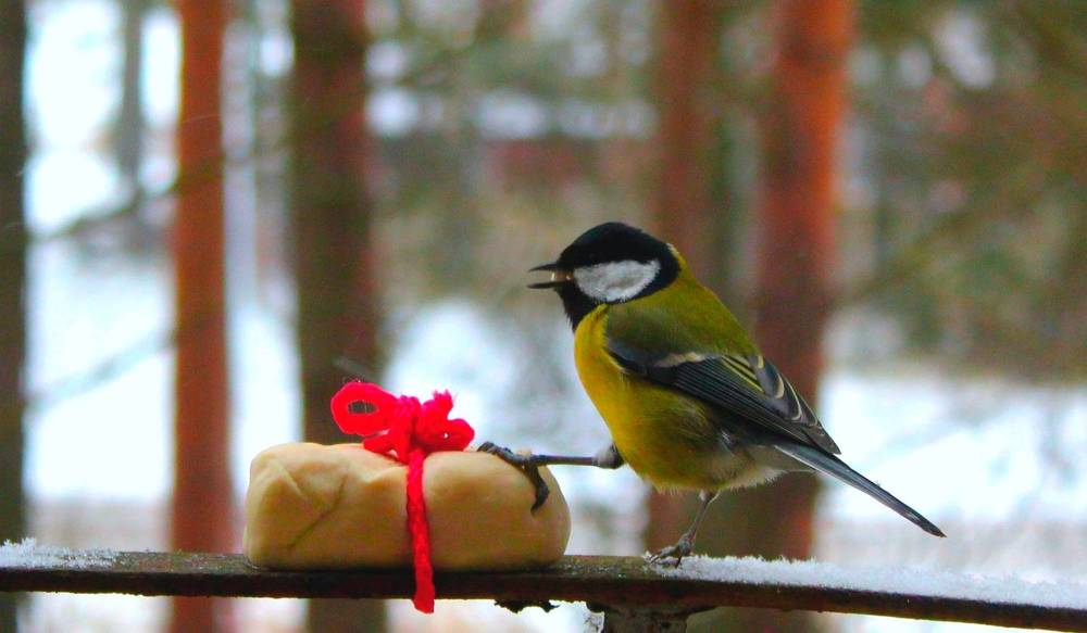 Photograph by Юлия Иванова