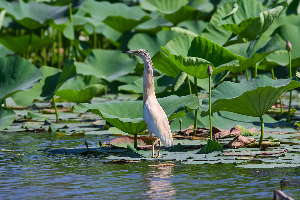 Photograph by Павел Сторчилов