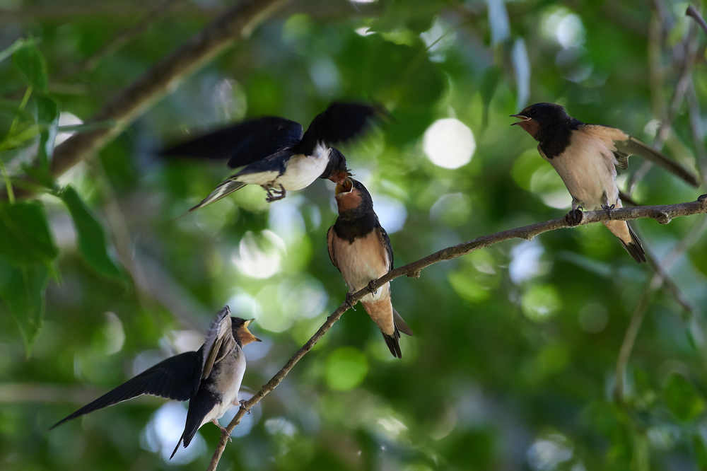 Photograph by Павел Сторчилов