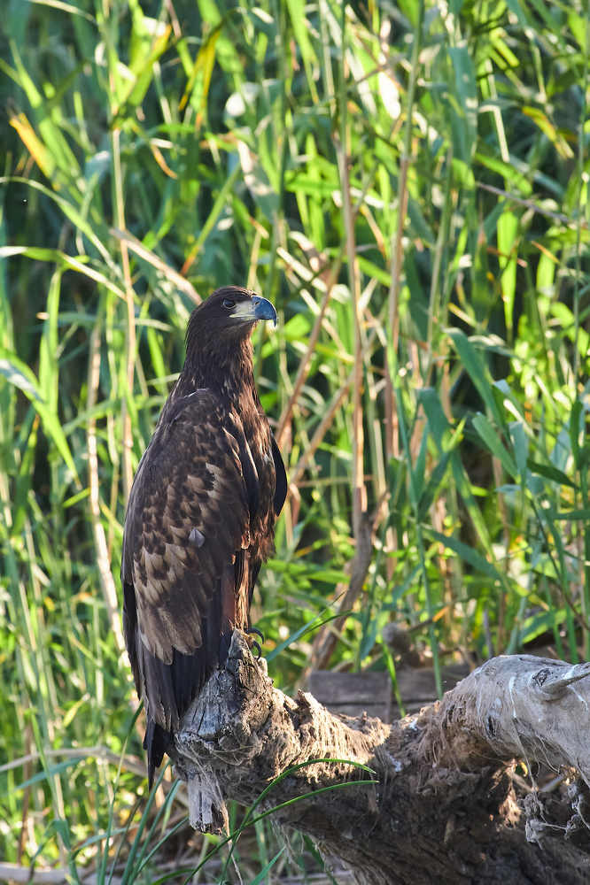 Photograph by Павел Сторчилов