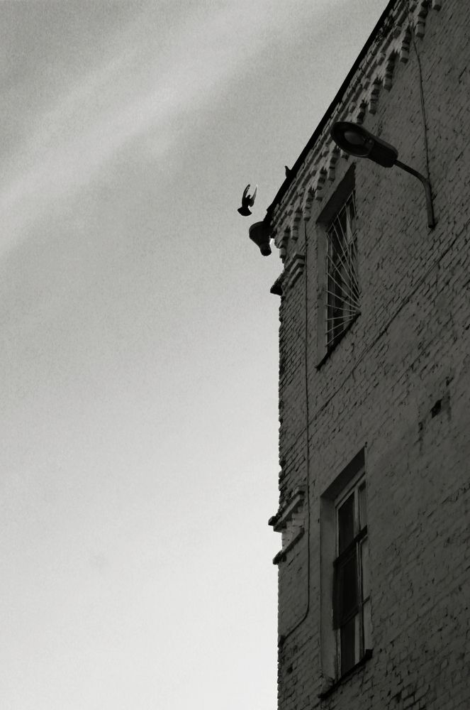 Photograph by Екатерина Иванова