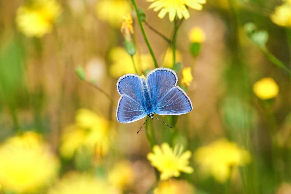 Photograph by Павел Сторчилов
