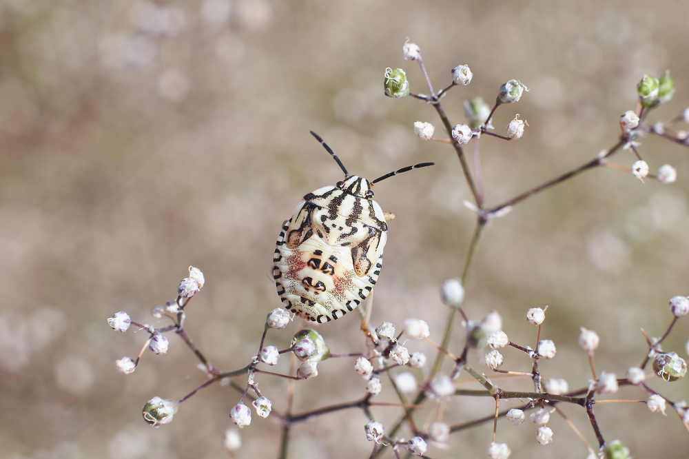 Photograph by Павел Сторчилов
