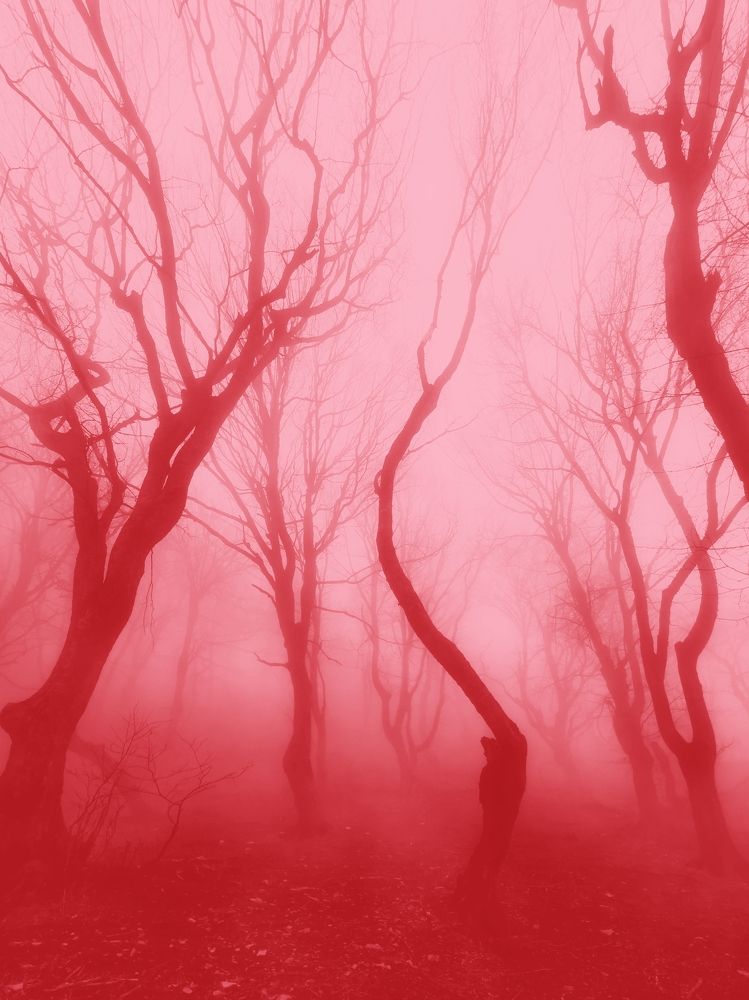 Photograph by Алина