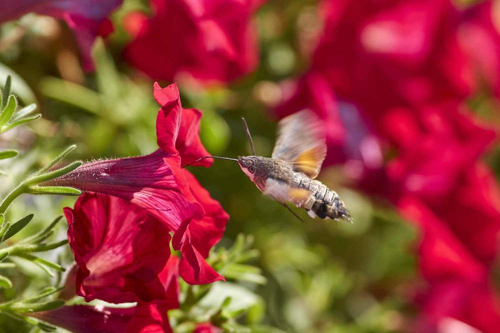 Photograph by Павел Сторчилов