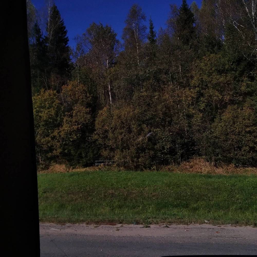 Photograph by Марта Васильева