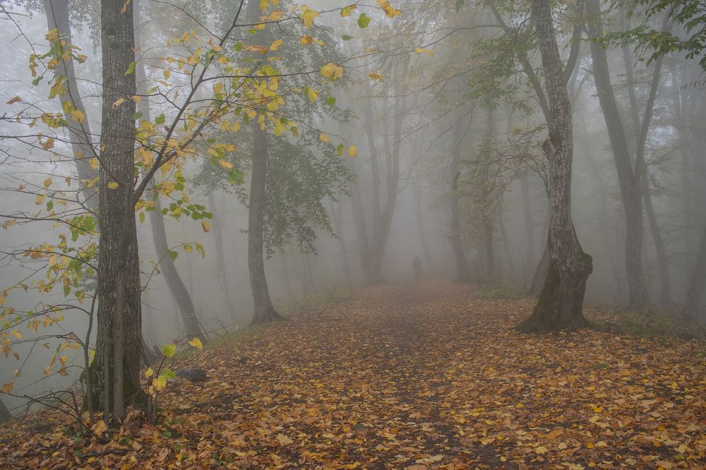 Photograph by Шипунова Ирина