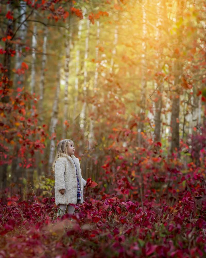 Photograph by Аванесова Мария