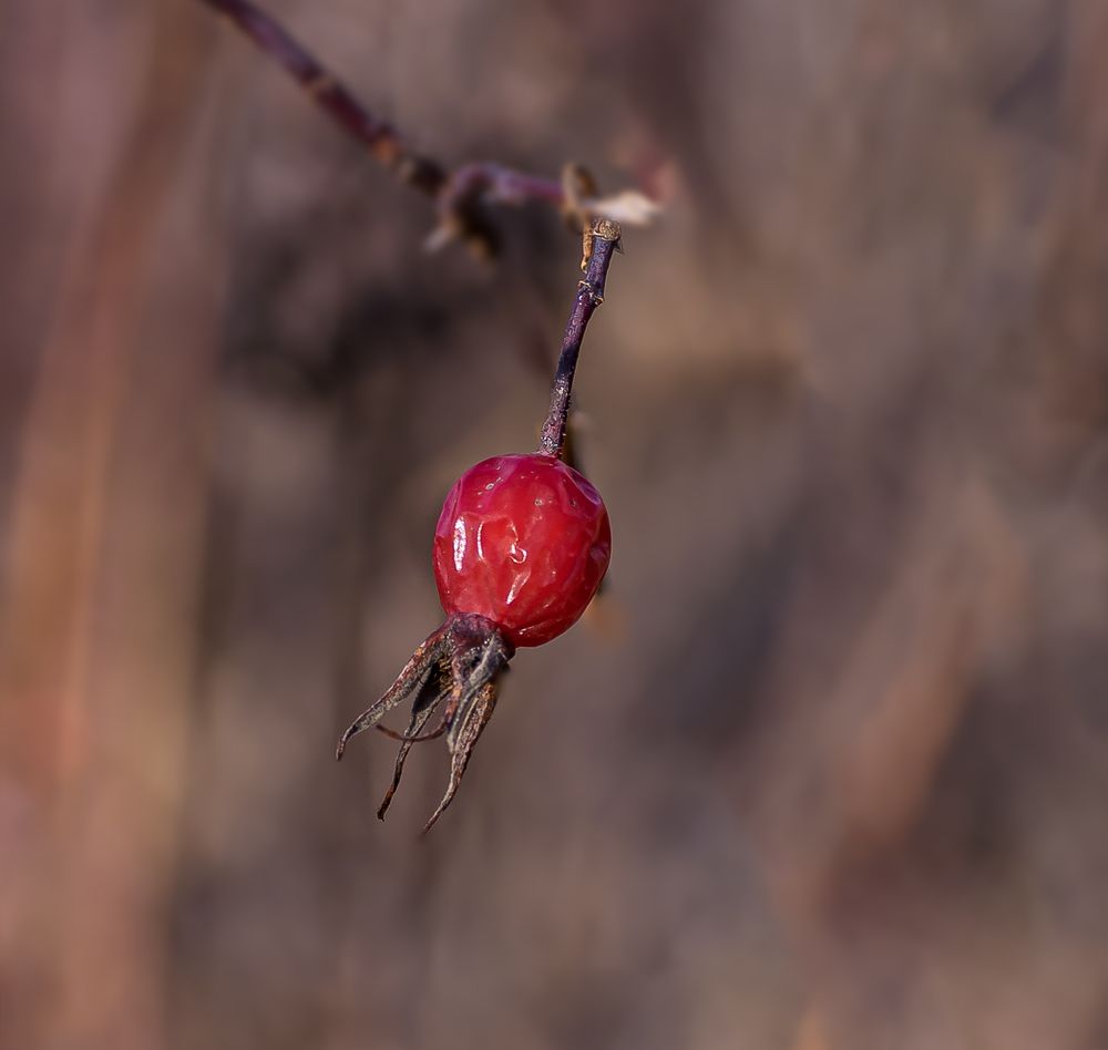 Одиночество