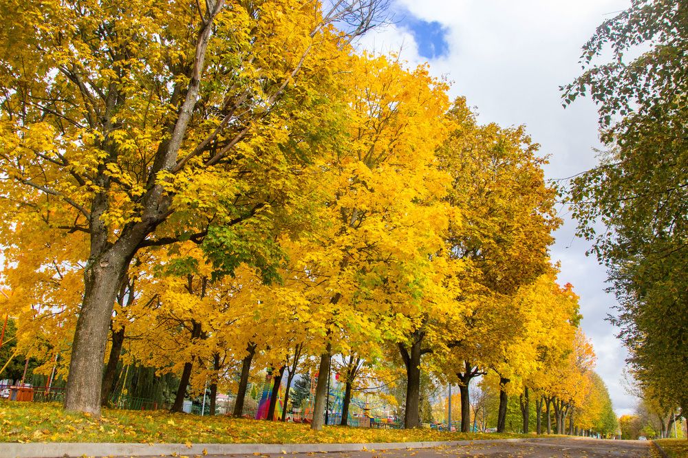 Photograph by Алексей Борисов