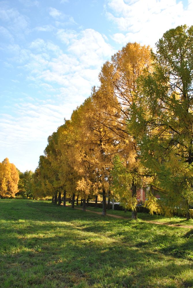 Photograph by Роман Туркин