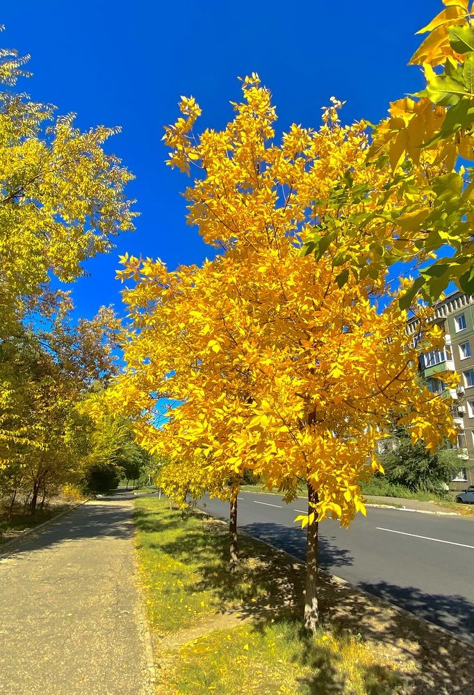 Photograph by Rabiana