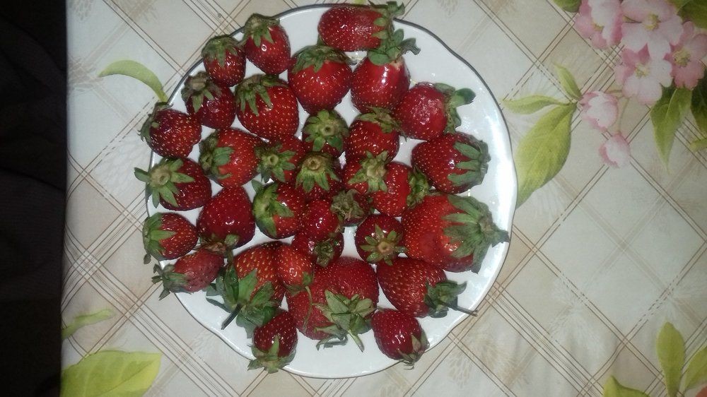 Photograph by Галина Петрушенко