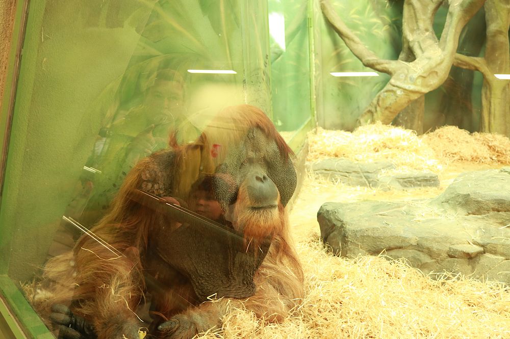 С обеих сторон окна