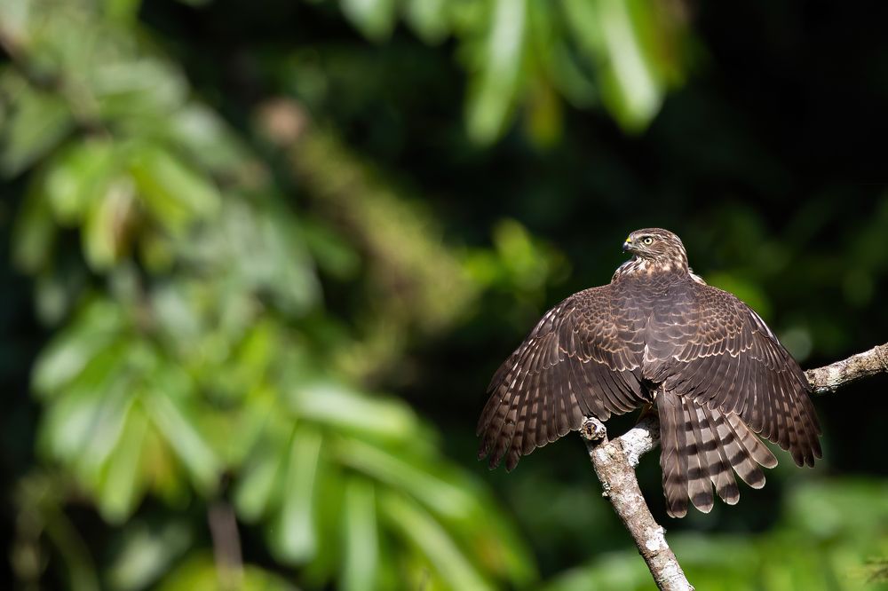 Photograph by Rohan Bhattacharjee