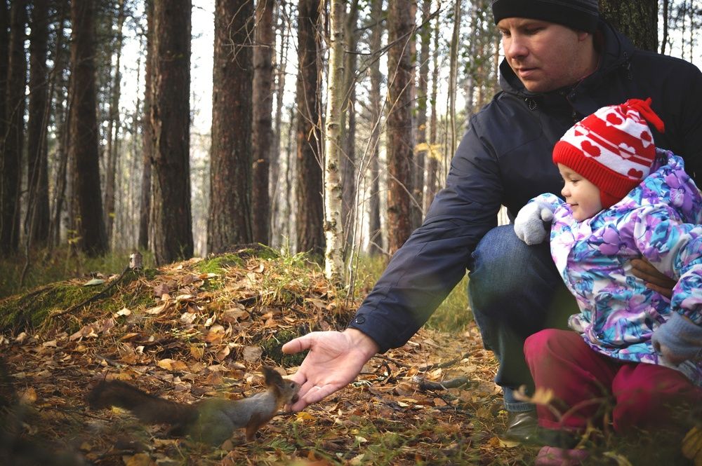 Photograph by Татьяна Бешенкина