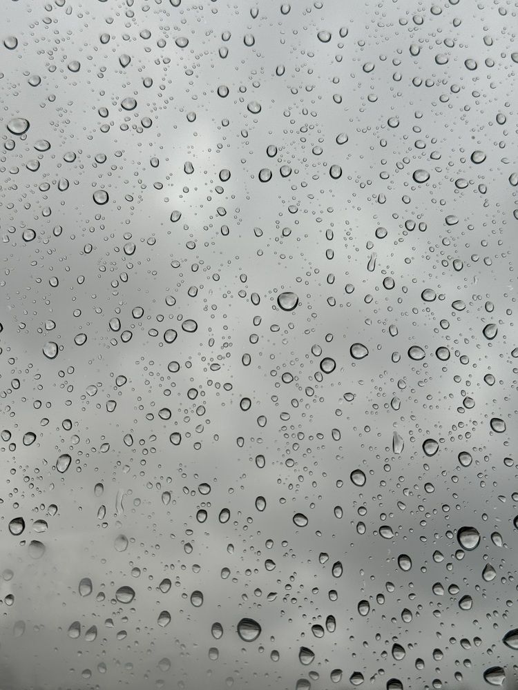 Photograph by Сергей Тишков