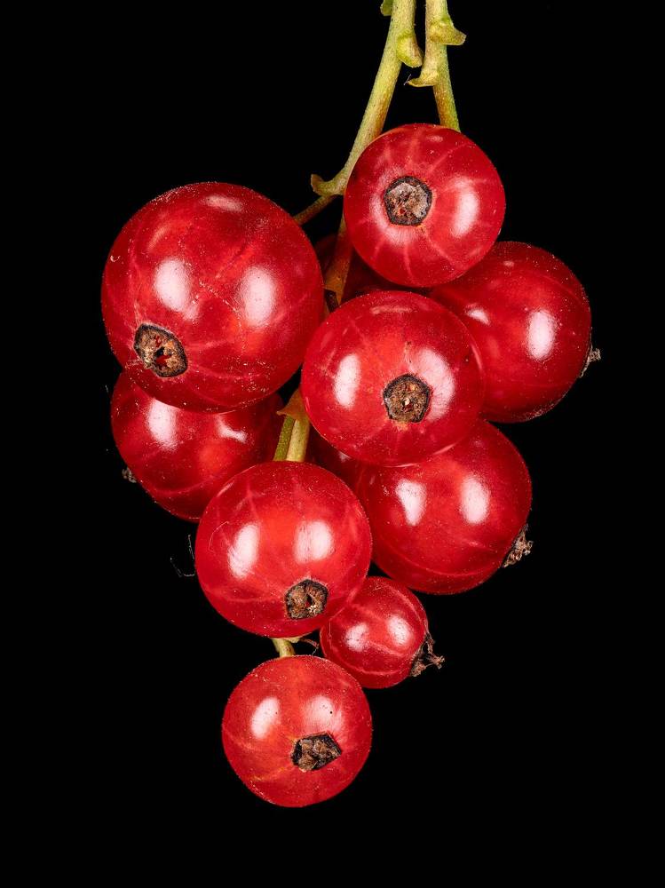 Photograph by Дмитрий Поварков