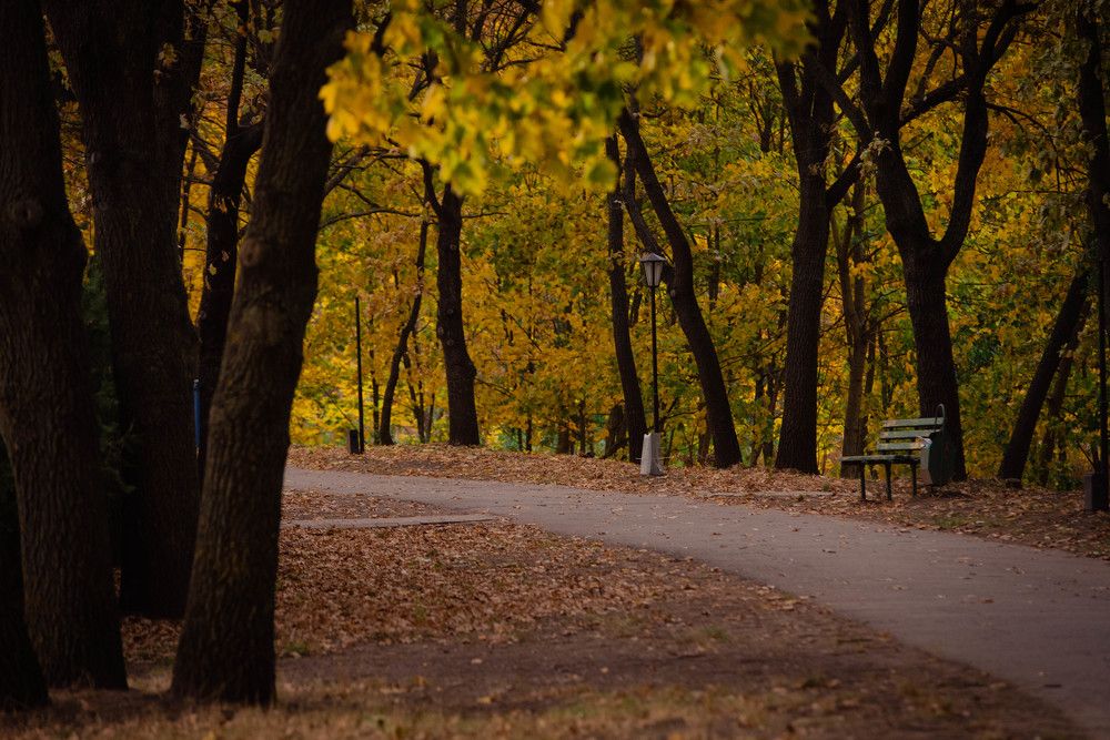 Фотография автора Midhunkrishna Kandampully