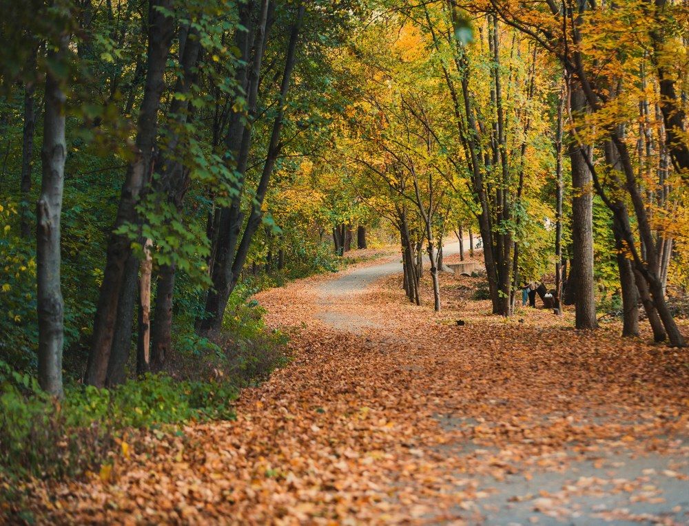 Фотография автора Midhunkrishna Kandampully