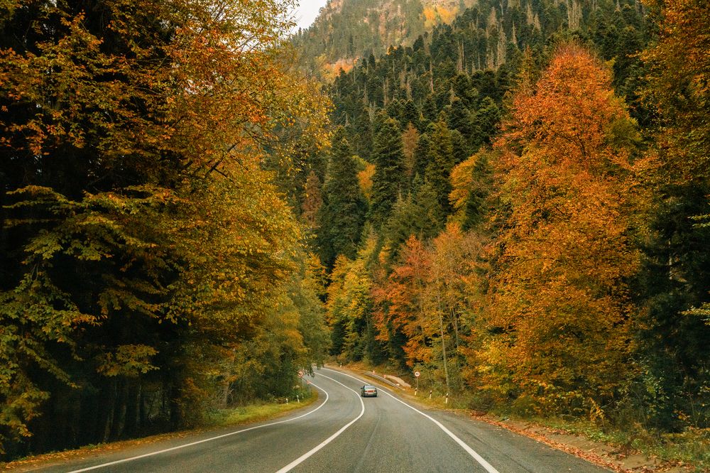 Photograph by EKATERINA WALTER