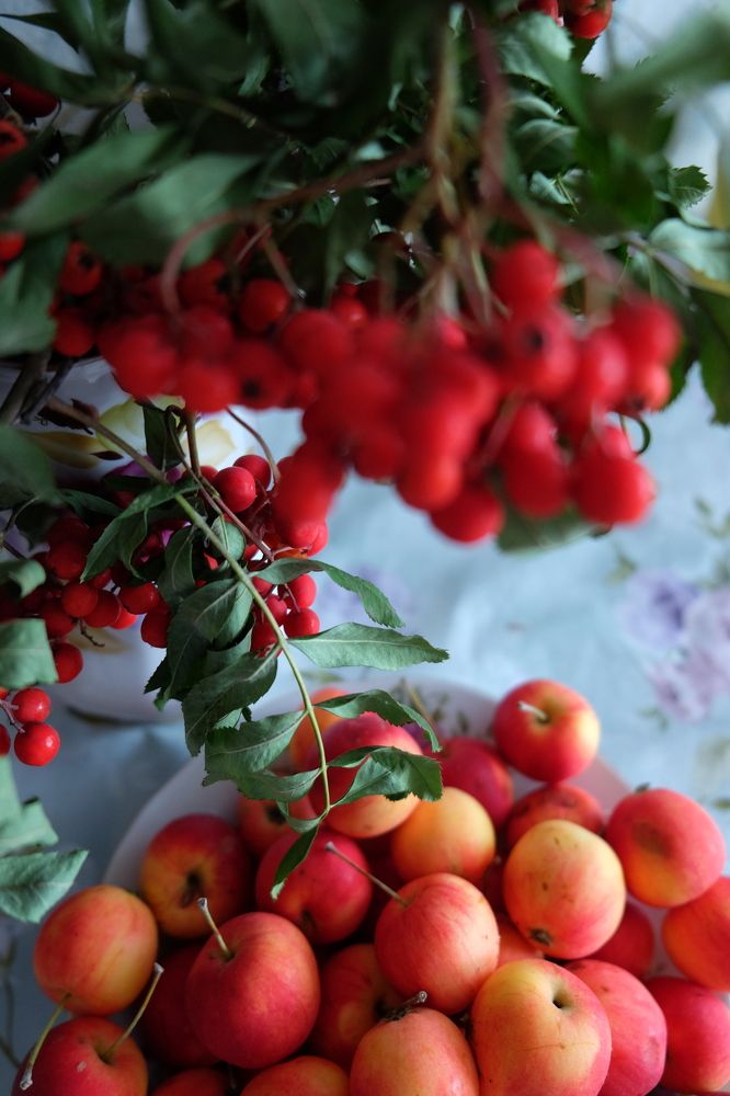 Photograph by Екатерина Хозяшева