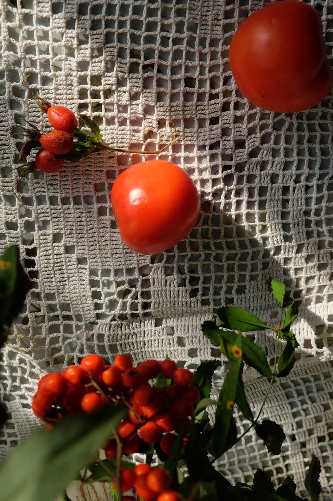 Photograph by Екатерина Хозяшева