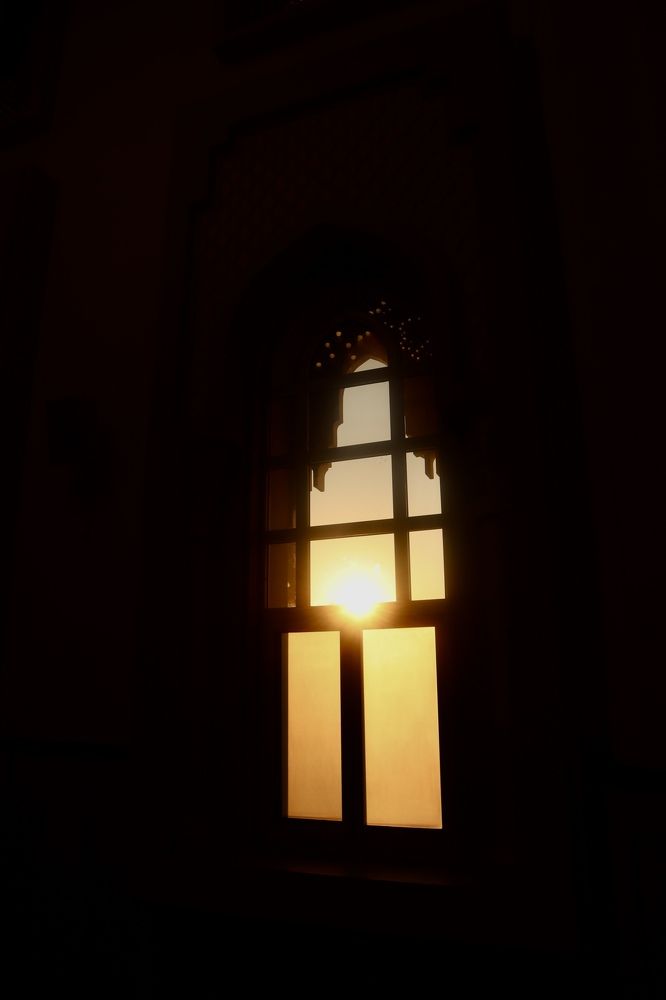 Фотография автора Sarrah Yehia