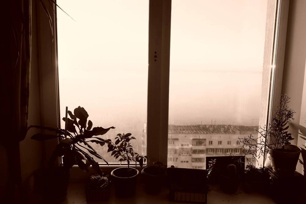 Photograph by Екатерина Хозяшева