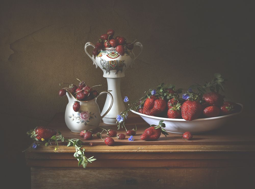 Фотография автора Шипунова Ирина