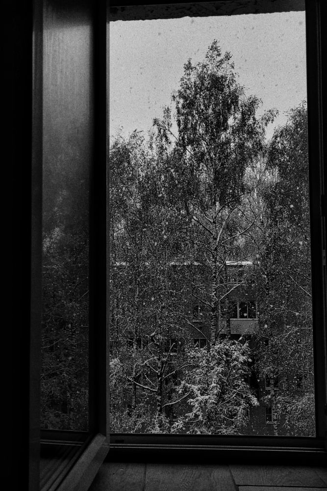 Фотография автора Татьяна Егорова