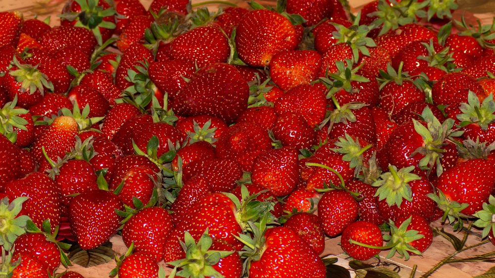 Photograph by Рыков Сергей