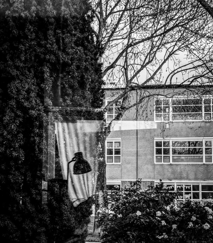 Фотография автора Ксения Шляйхер