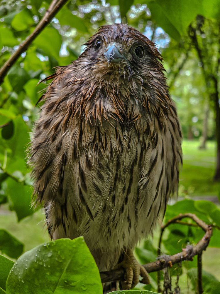 Фотография автора Анна Мисякова