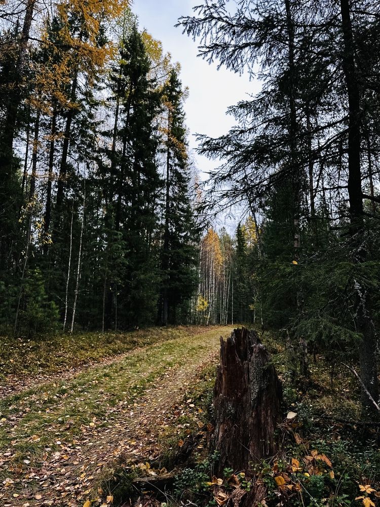 Фотография автора Яврова Татьяна