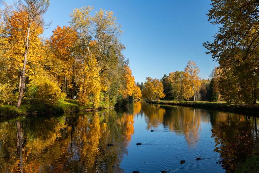 Photograph by Дмитрий Константинов