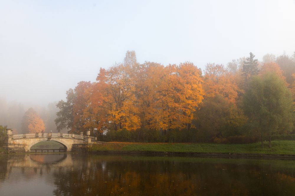 Photograph by Дмитрий Константинов