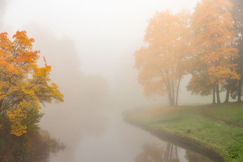 Photograph by Дмитрий Константинов