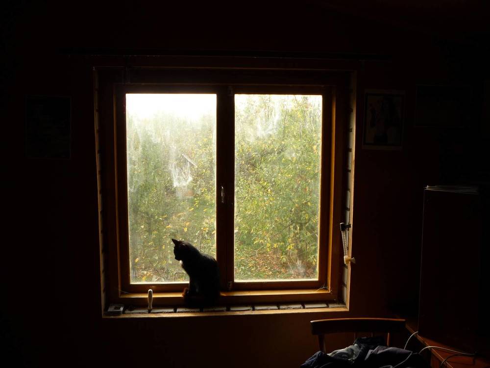 Photograph by Рыков Сергей