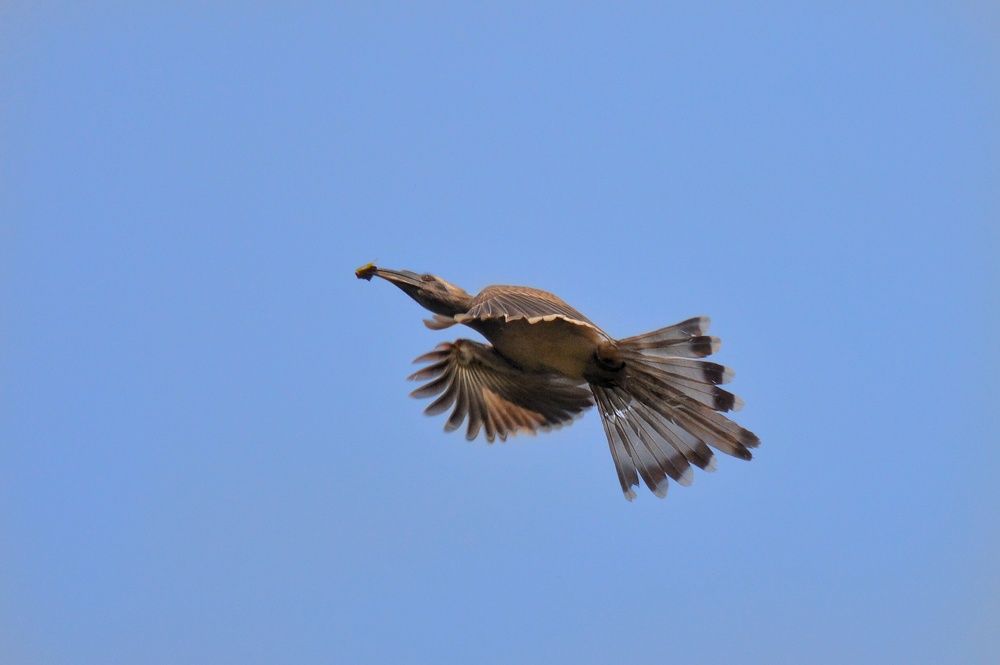 Photograph by GAURAV INGLE