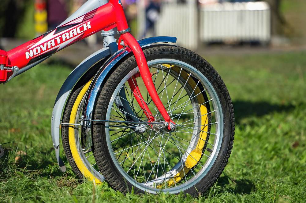 Фотография автора Светлана Разумовская