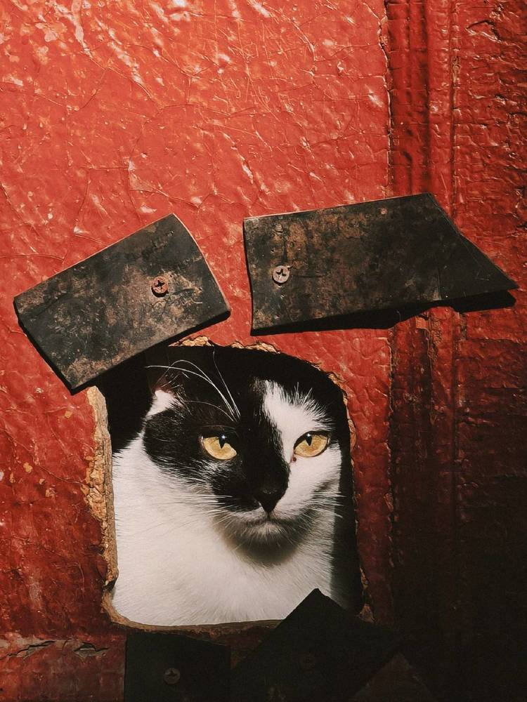 Photograph by Victoria Stoliarenko