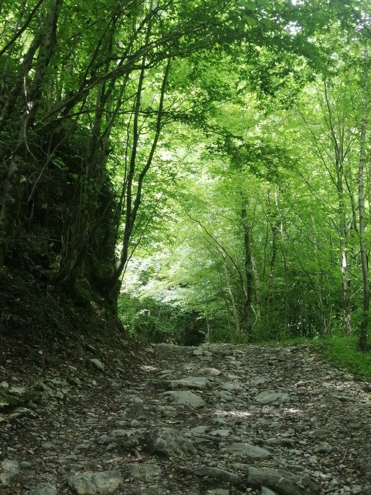 Photograph by Азамат