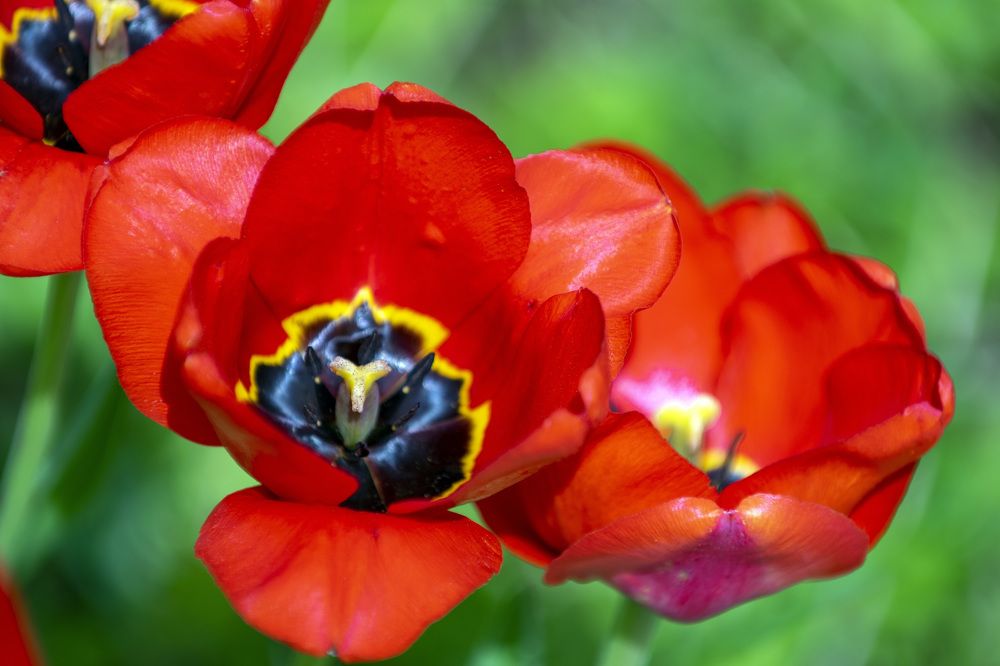 Photograph by Дария Ризниченко