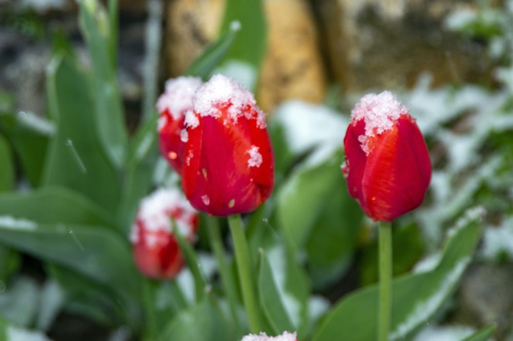 Photograph by Дария Ризниченко