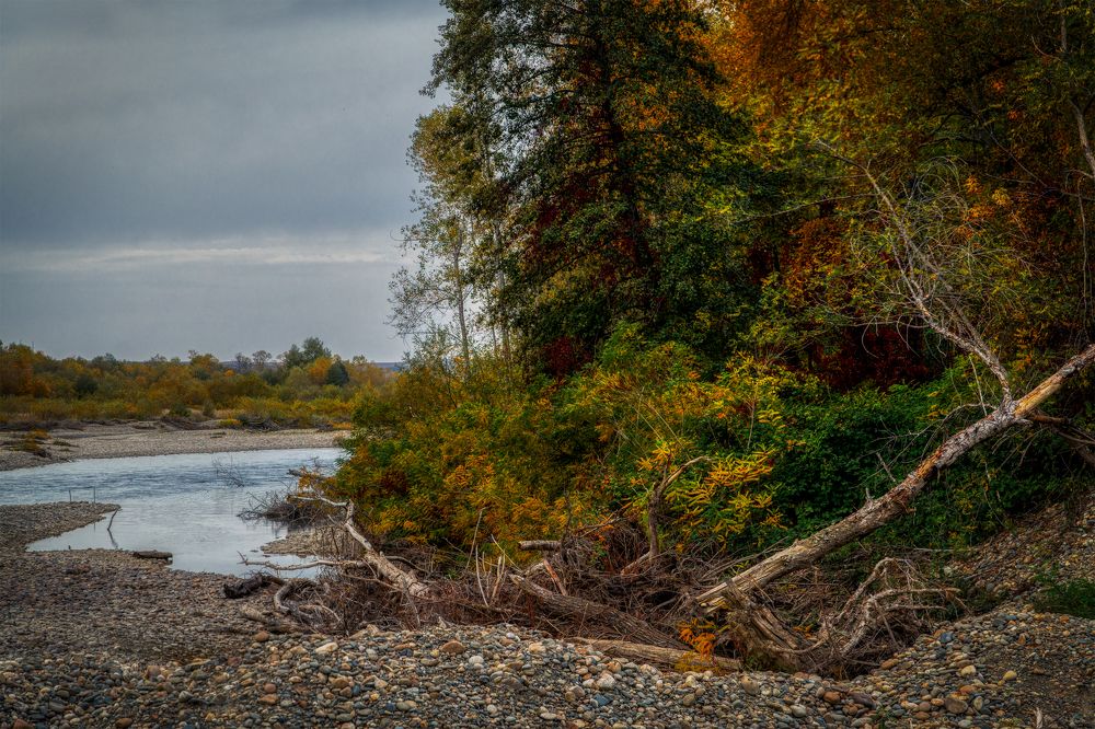 Photograph by Владимир Кваша