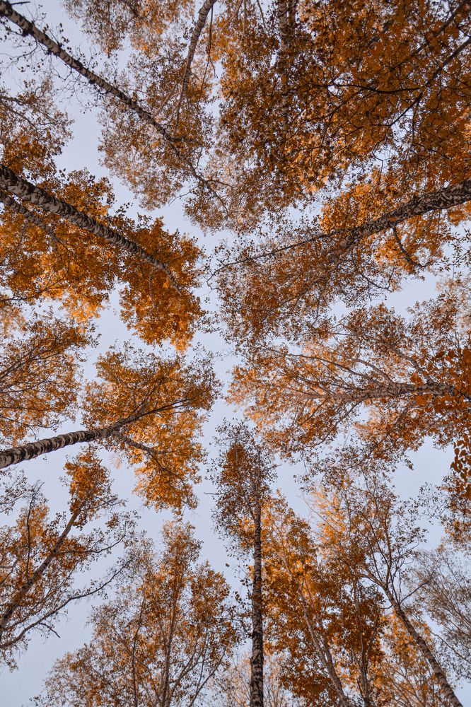 Фотография автора Дмитрий Хань