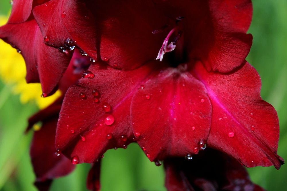 Photograph by Жанна Нечаева