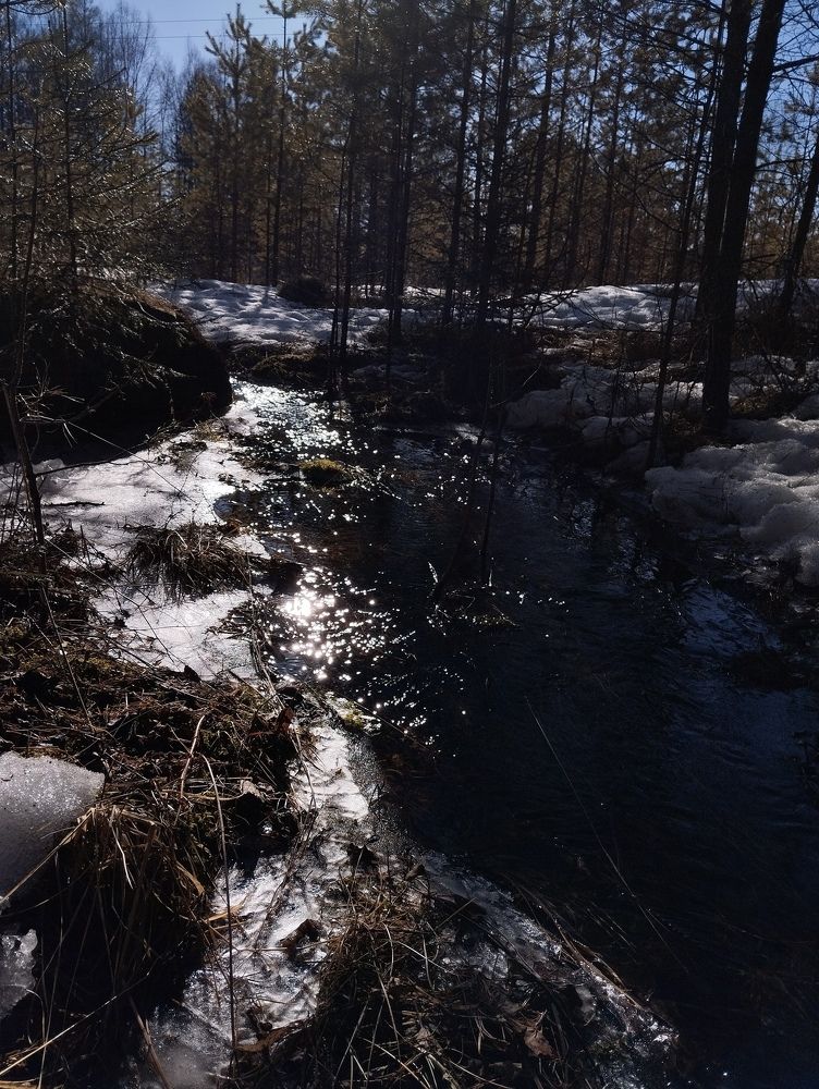Photo #11184997